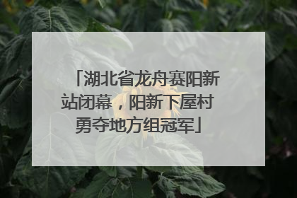 湖北省龙舟赛阳新站闭幕，阳新下屋村勇夺地方组冠军