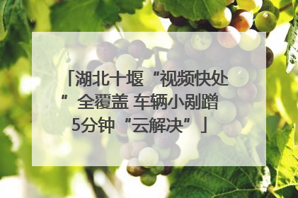 湖北十堰“视频快处”全覆盖 车辆小剐蹭5分钟“云解决”