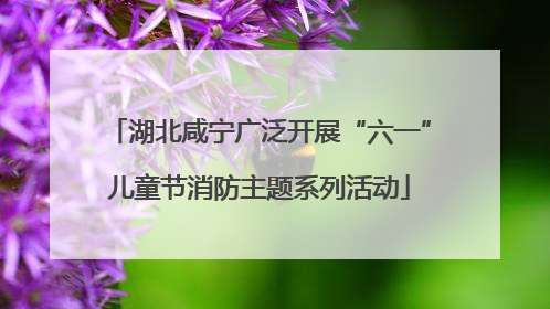 湖北咸宁广泛开展“六一”儿童节消防主题系列活动