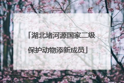 湖北堵河源国家二级保护动物添新成员