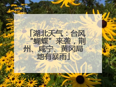 湖北天气：台风“蝴蝶”来袭，荆州、咸宁、黄冈局地有暴雨
