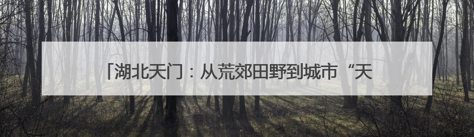 湖北天门：从荒郊田野到城市“天花板” 内陆最大侨乡换“新颜”