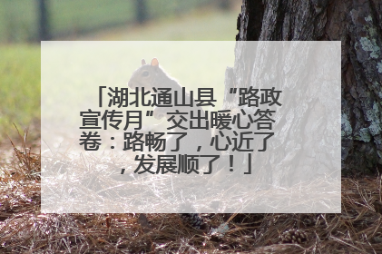 湖北通山县“路政宣传月”交出暖心答卷：路畅了，心近了，发展顺了！