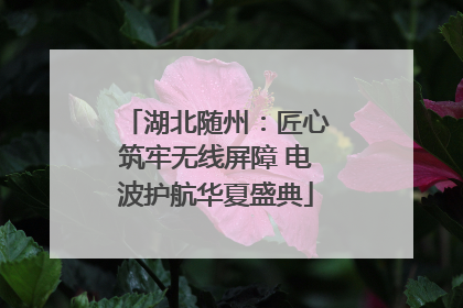 湖北随州：匠心筑牢无线屏障 电波护航华夏盛典