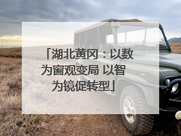 湖北黄冈：以数为窗观变局 以智为镜促转型
