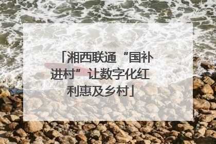 湘西联通“国补进村”让数字化红利惠及乡村