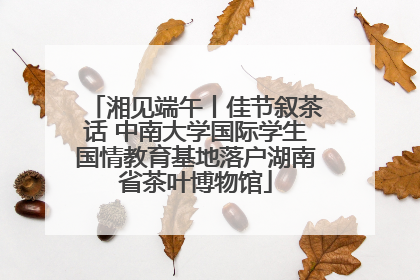 湘见端午丨佳节叙茶话 中南大学国际学生国情教育基地落户湖南省茶叶博物馆