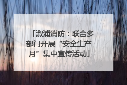 溆浦消防：联合多部门开展“安全生产月”集中宣传活动