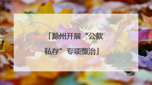 滁州开展“公款私存”专项整治