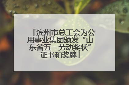 滨州市总工会为公用事业集团颁发“山东省五一劳动奖状”证书和奖牌