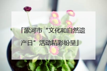 漯河市“文化和自然遗产日”活动精彩纷呈