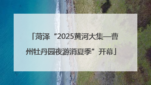 菏泽“2025黄河大集—曹州牡丹园夜游消夏季”开幕