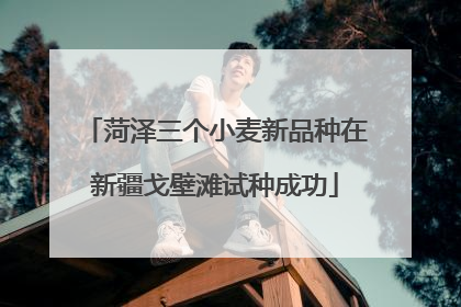 菏泽三个小麦新品种在新疆戈壁滩试种成功