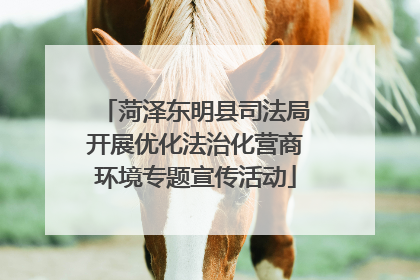 菏泽东明县司法局开展优化法治化营商环境专题宣传活动