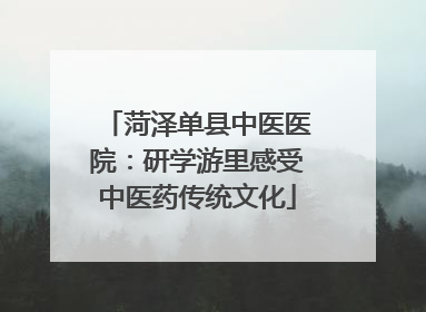菏泽单县中医医院：研学游里感受中医药传统文化