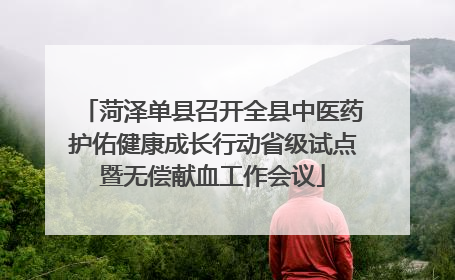 菏泽单县召开全县中医药护佑健康成长行动省级试点暨无偿献血工作会议