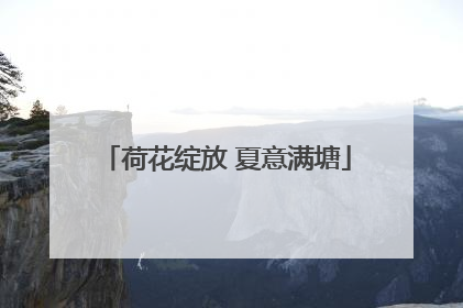 荷花绽放 夏意满塘