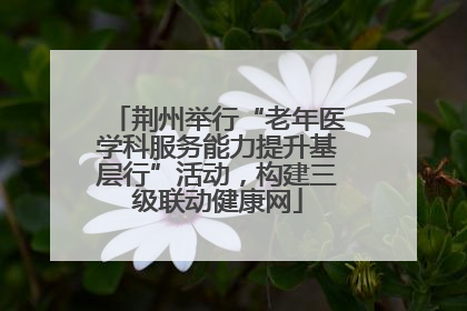 荆州举行“老年医学科服务能力提升基层行”活动，构建三级联动健康网