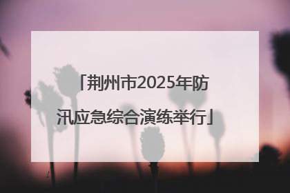 荆州市2025年防汛应急综合演练举行