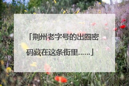 荆州老字号的出圈密码藏在这条街里……