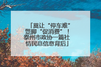 莫让“停车难”蹩脚“促消费”！泰州市政协一篇社情民意信息背后