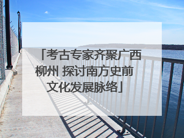 考古专家齐聚广西柳州 探讨南方史前文化发展脉络