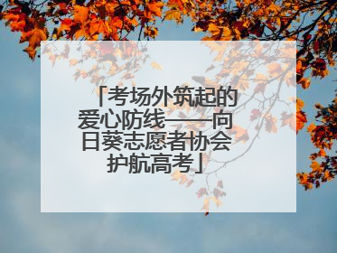 考场外筑起的爱心防线——向日葵志愿者协会护航高考