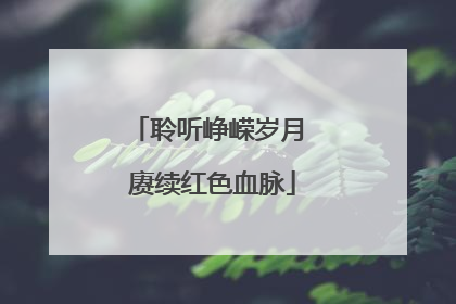 聆听峥嵘岁月 赓续红色血脉