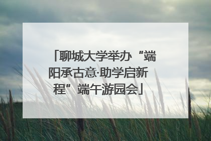 聊城大学举办“端阳承古意·助学启新程”端午游园会