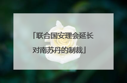 联合国安理会延长对南苏丹的制裁