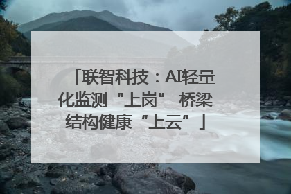 联智科技：AI轻量化监测“上岗” 桥梁结构健康“上云”
