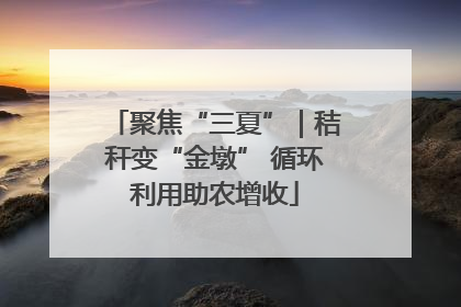 聚焦“三夏”｜秸秆变“金墩” 循环利用助农增收