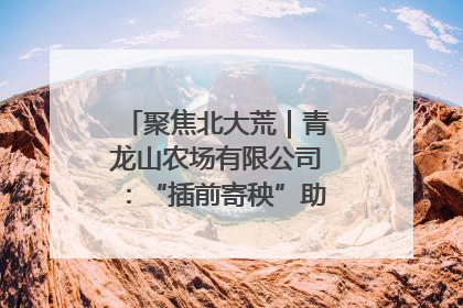 聚焦北大荒｜青龙山农场有限公司：“插前寄秧”助力农业节本增效