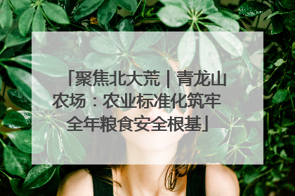 聚焦北大荒｜青龙山农场：农业标准化筑牢全年粮食安全根基