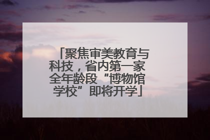 聚焦审美教育与科技，省内第一家全年龄段“博物馆学校”即将开学