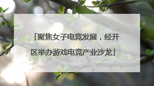 聚焦女子电竞发展，经开区举办游戏电竞产业沙龙