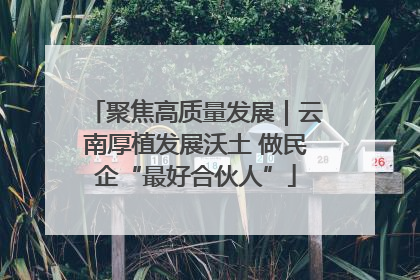 聚焦高质量发展｜云南厚植发展沃土 做民企“最好合伙人”