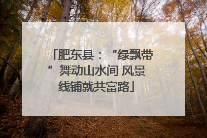 肥东县：“绿飘带”舞动山水间 风景线铺就共富路