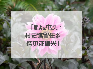 肥城屯头：村史馆留住乡情见证振兴