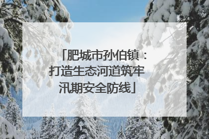 肥城市孙伯镇：打造生态河道筑牢汛期安全防线