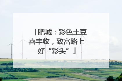 肥城：彩色土豆喜丰收，致富路上好“彩头”