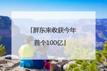 胖东来收获今年首个100亿