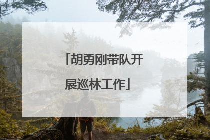 胡勇刚带队开展巡林工作