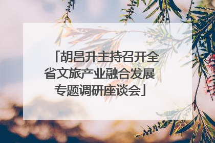 胡昌升主持召开全省文旅产业融合发展专题调研座谈会
