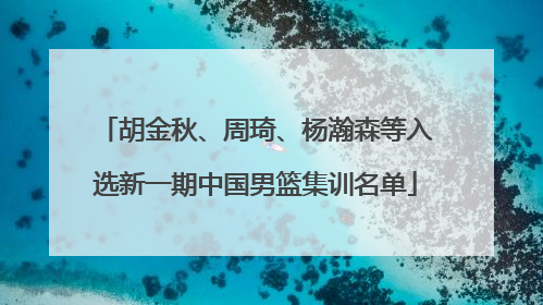 胡金秋、周琦、杨瀚森等入选新一期中国男篮集训名单