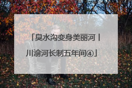 臭水沟变身美丽河丨川渝河长制五年间④