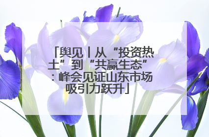 舆见丨从“投资热土”到“共赢生态”：峰会见证山东市场吸引力跃升