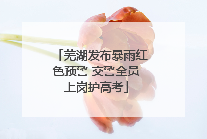 芜湖发布暴雨红色预警 交警全员上岗护高考