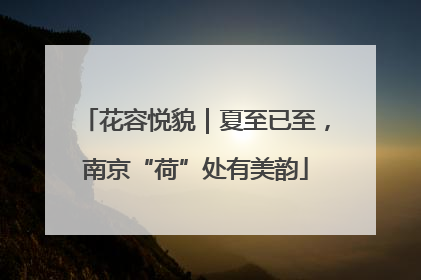 花容悦貌｜夏至已至，南京“荷”处有美韵