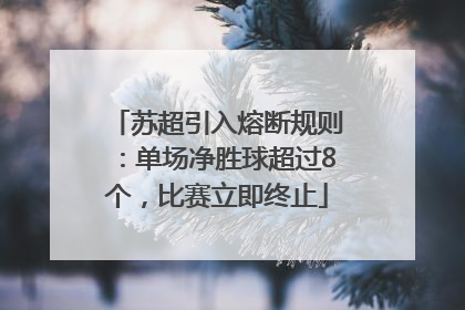 苏超引入熔断规则：单场净胜球超过8个，比赛立即终止